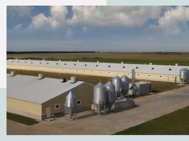 Проектирование свинарников в Тихорецке от 61842 р. | СтальСтрой